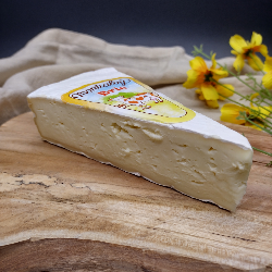 Brie au lait pasteurisé