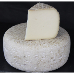 Grosse tomme de Brebis des Pyrnes