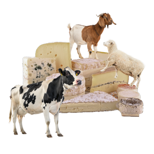 Nos fromages par type de lait