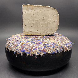 Gouda de Chvre - Thym et Miel