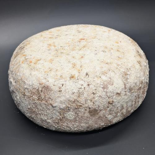 Tomme de vache à la Truffe Cave Rousseau