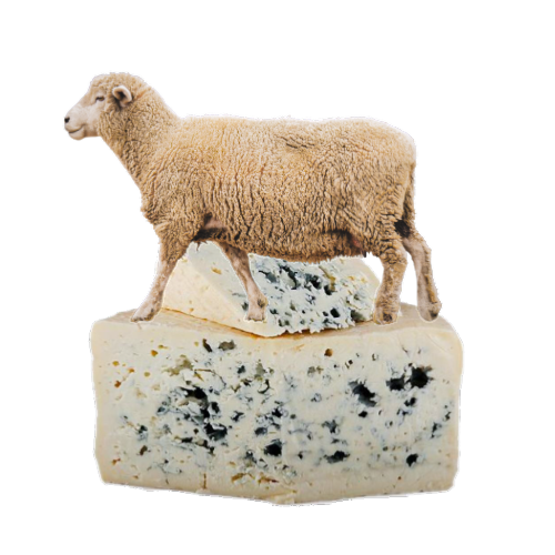 Fromages au lait de brebis