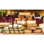 Nos fromages par type de lait